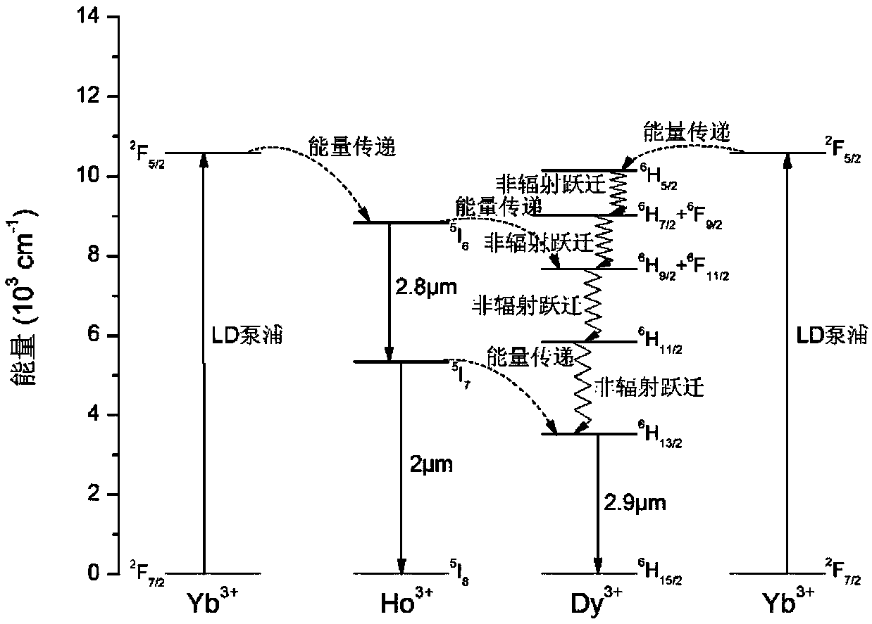 Novel medium-infrared laser crystal of ytterbium, holmium and dysprosium-doped lead fluoride and preparation method of novel medium-infrared laser crystal