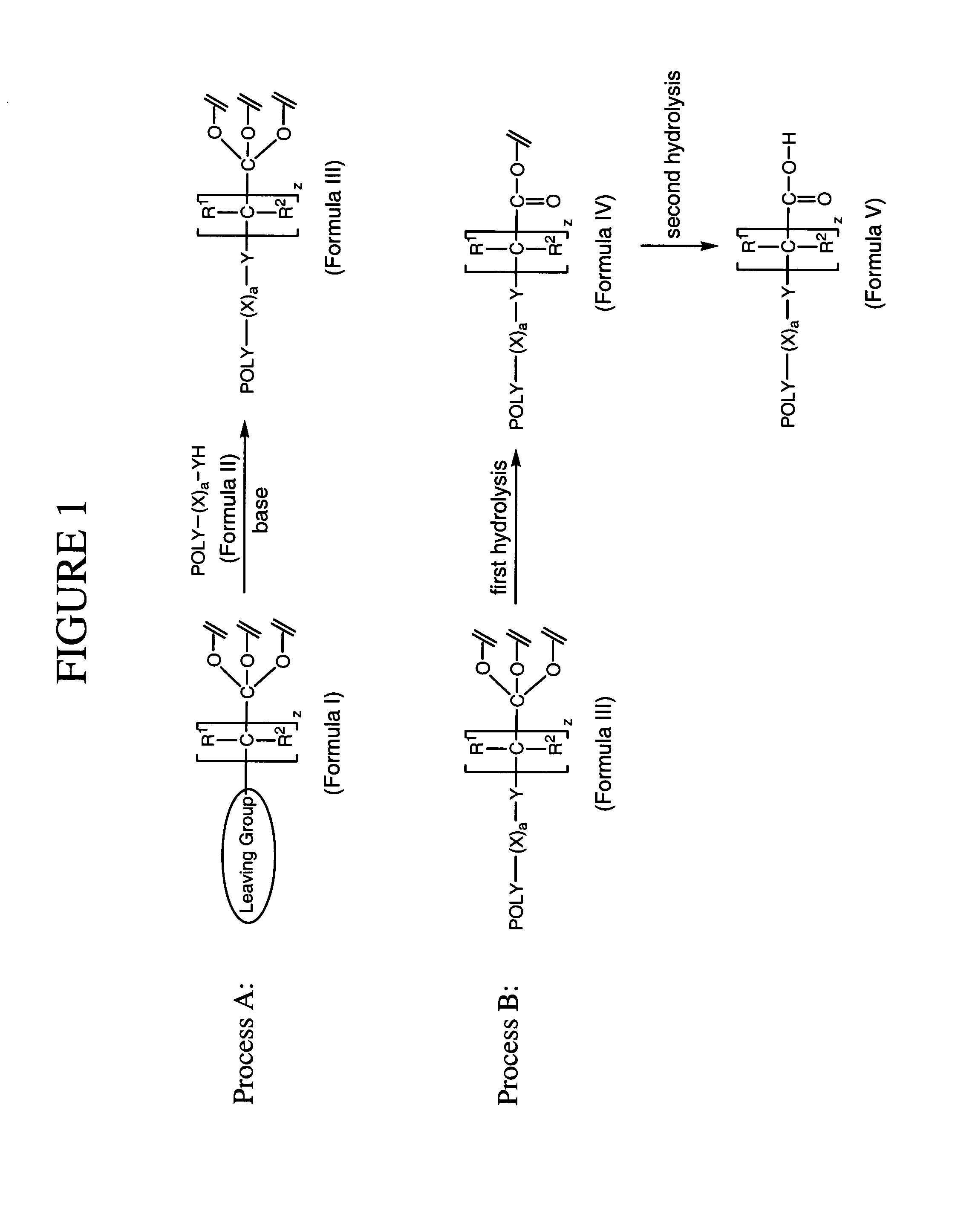 Method for preparing water-soluble polymer derivatives bearing a terminal carboxylic acid