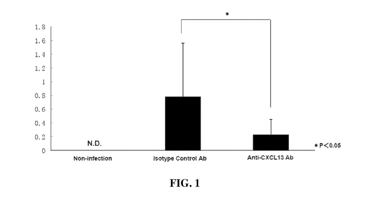 Methods for increasing immunoglobulin A levels