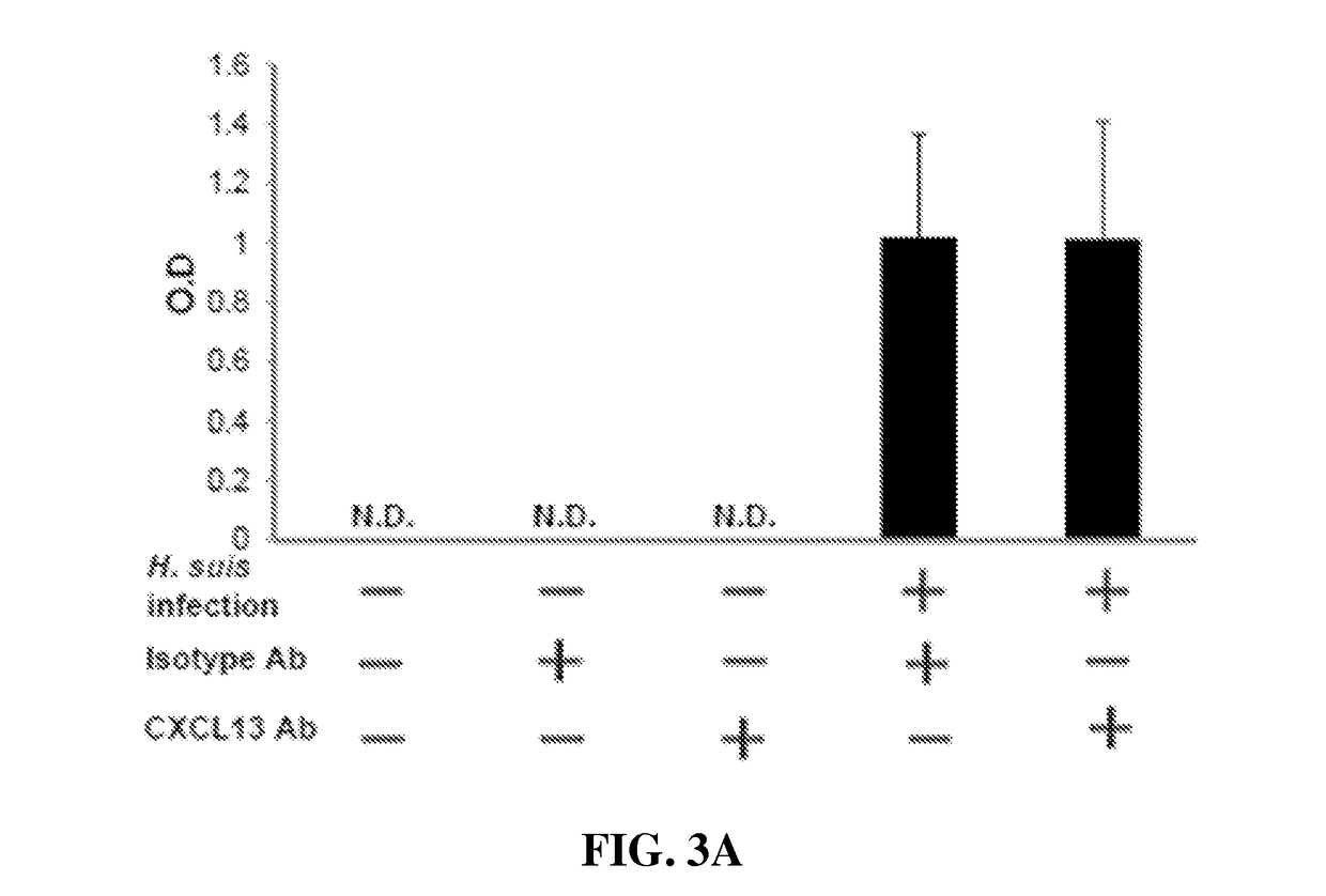 Methods for increasing immunoglobulin A levels