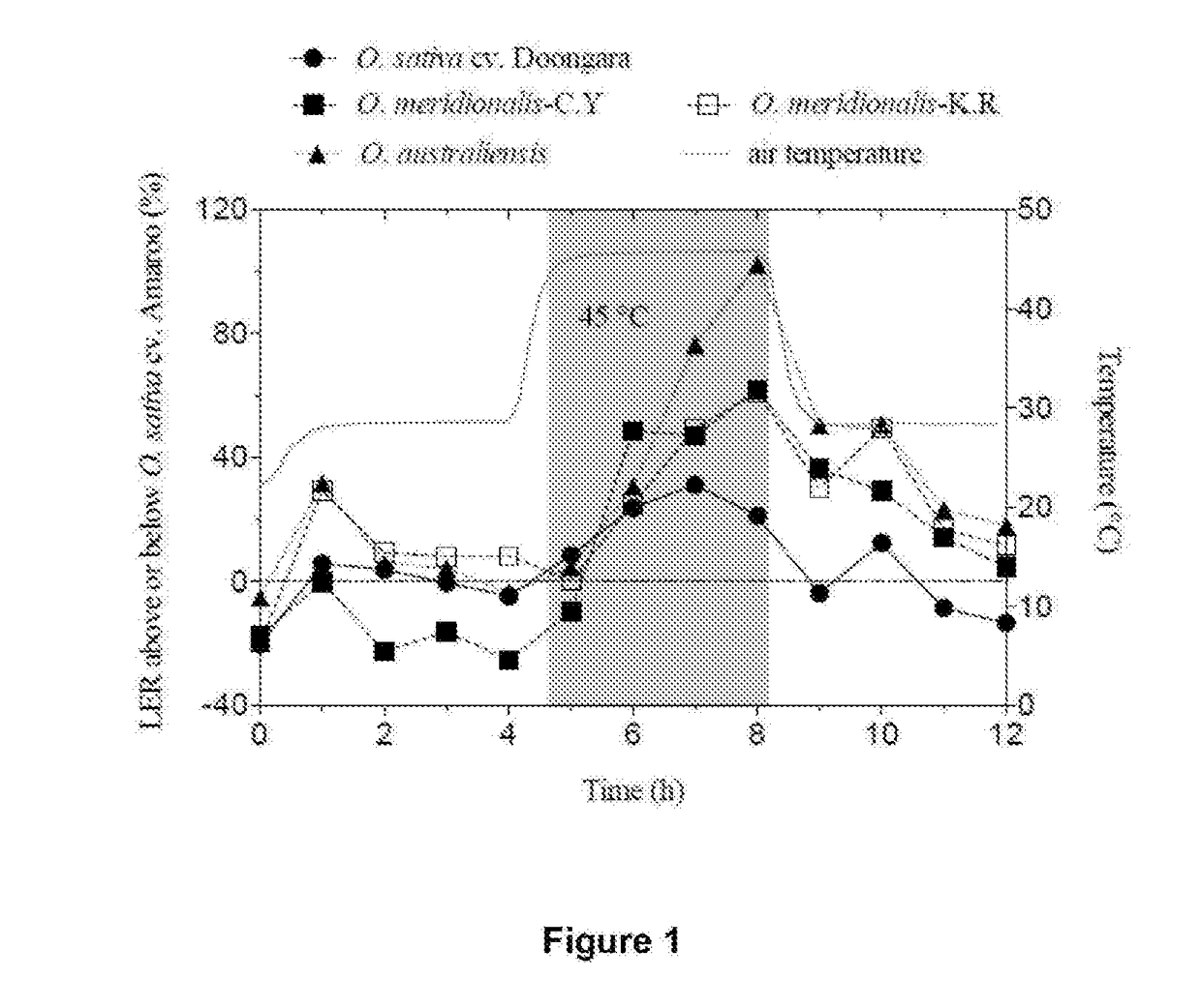 Thermostable rubisco activase complexes