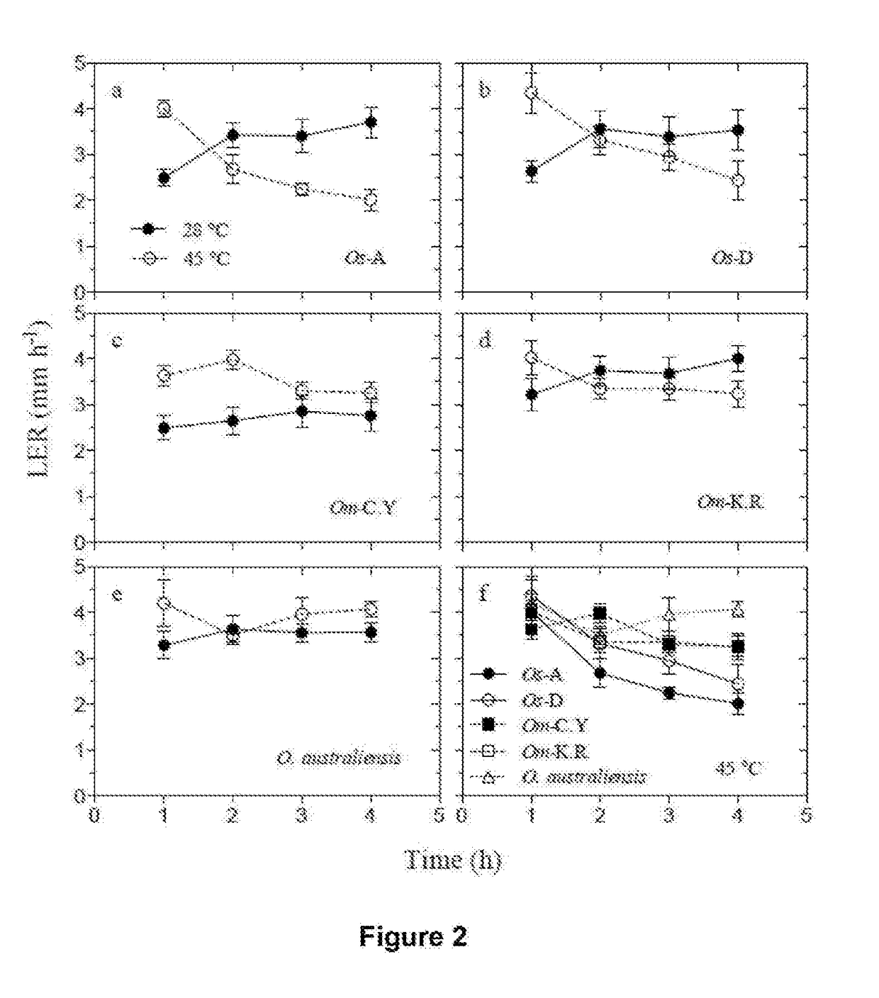 Thermostable rubisco activase complexes