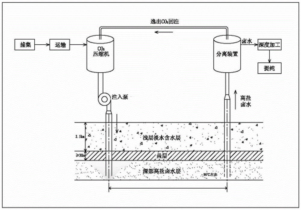 a co  <sub>2</sub> Method for displacing high-salt brine in deep formation