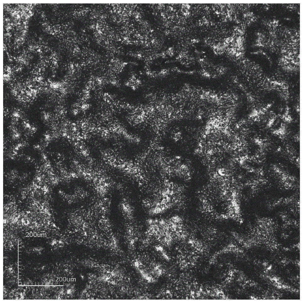 MoSi2-BSG coated zirconium oxide fiberboard integrated heat insulating material and preparation method thereof