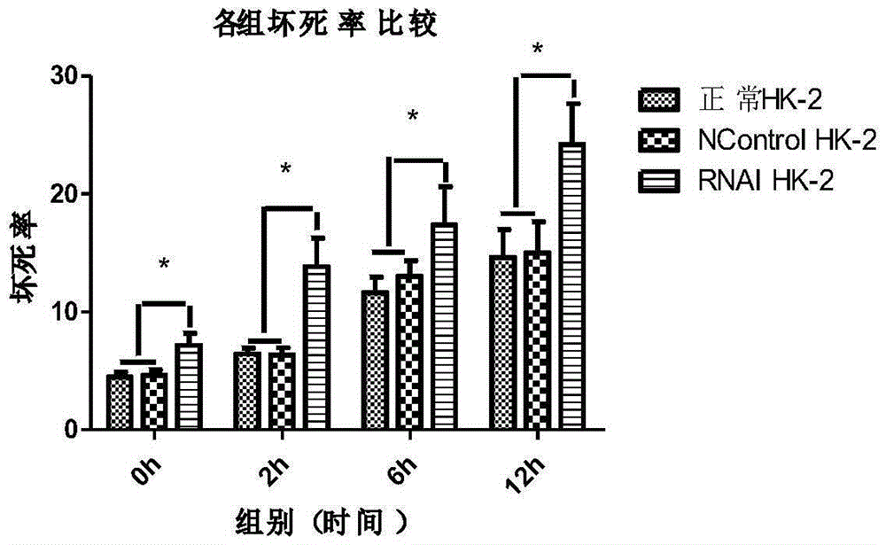 Application of TRPC6 in preparation of medicament for diagnosing and treating kidney ischemic reperfusion injury