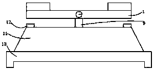 Experimental drug weighing control device