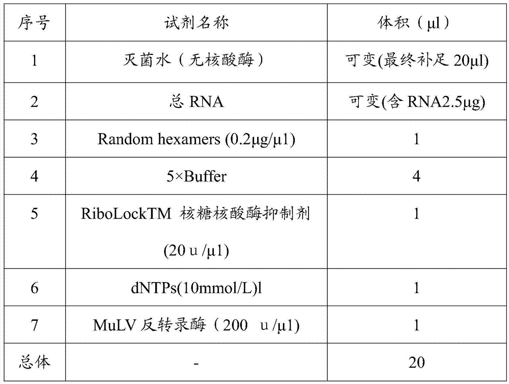 Essence containing plankton and application of essence in cosmetics