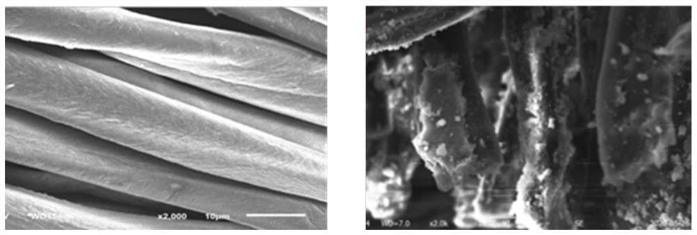 Photocatalytic self-cleaning functional cotton fabric and preparation method thereof