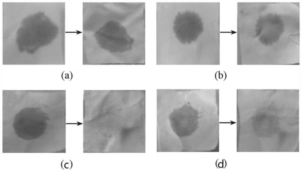 Photocatalytic self-cleaning functional cotton fabric and preparation method thereof