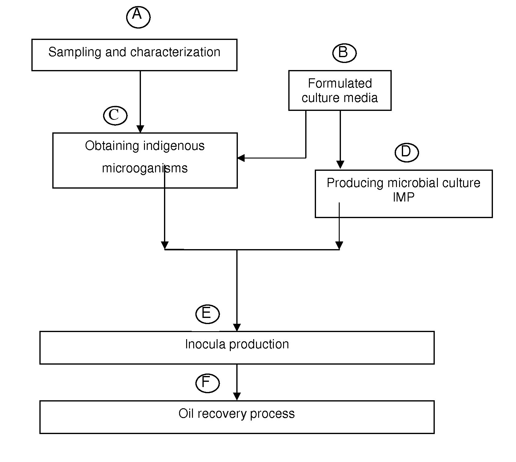 Biotechnological process for hydrocarbon recovery in low permeability porous media