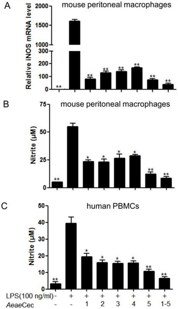 The application of cecropin polypeptide as an anti-inflammatory drug