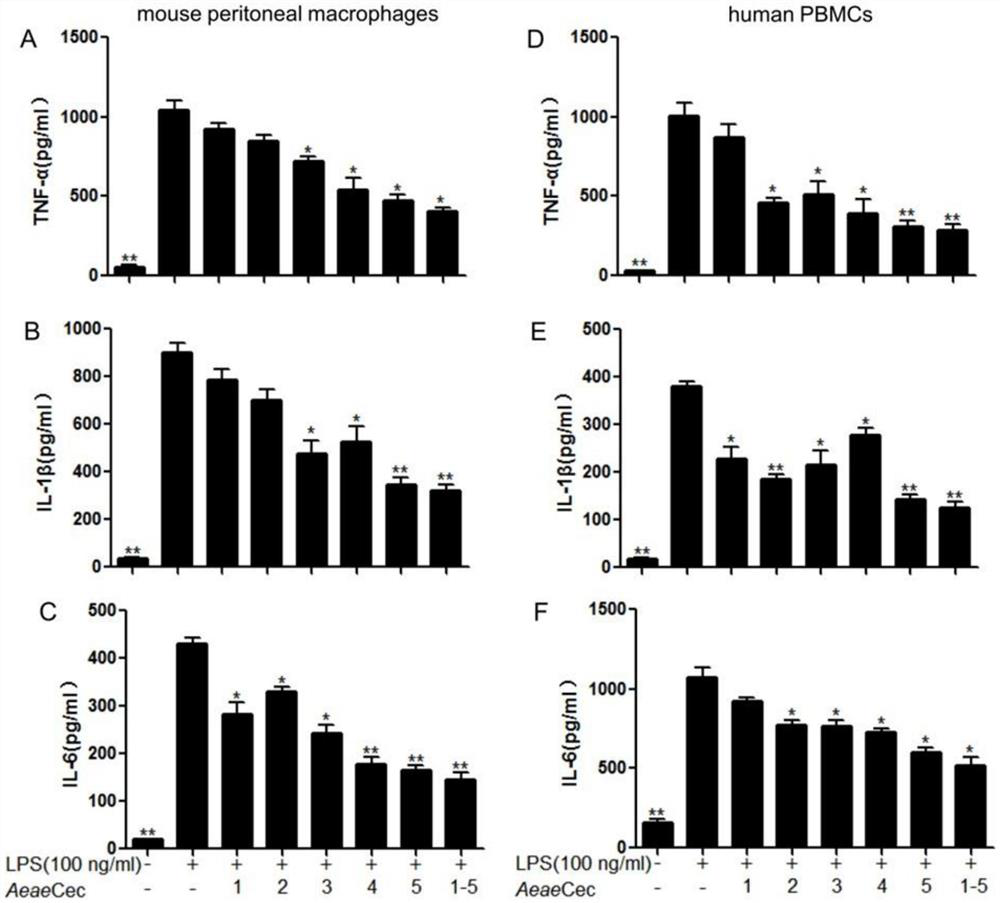 The application of cecropin polypeptide as an anti-inflammatory drug