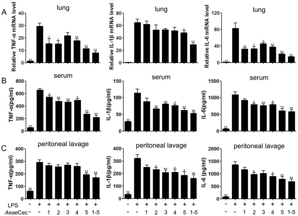 The application of cecropin polypeptide as an anti-inflammatory drug