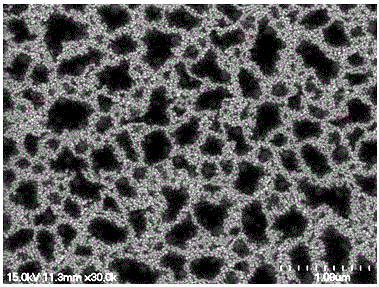 Luminol-aniline copolymerization modified electrode and preparation method thereof