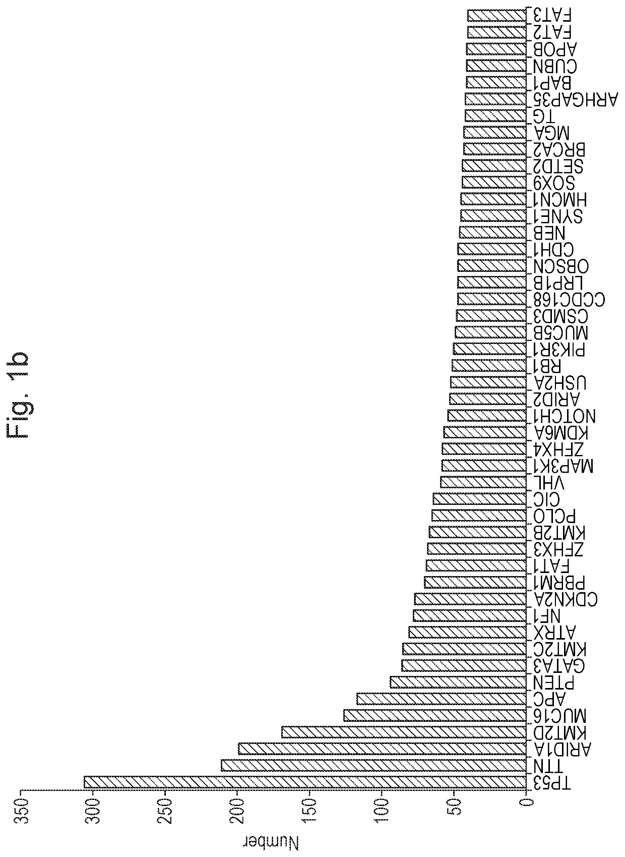 Cancer vaccines for colorectal cancer