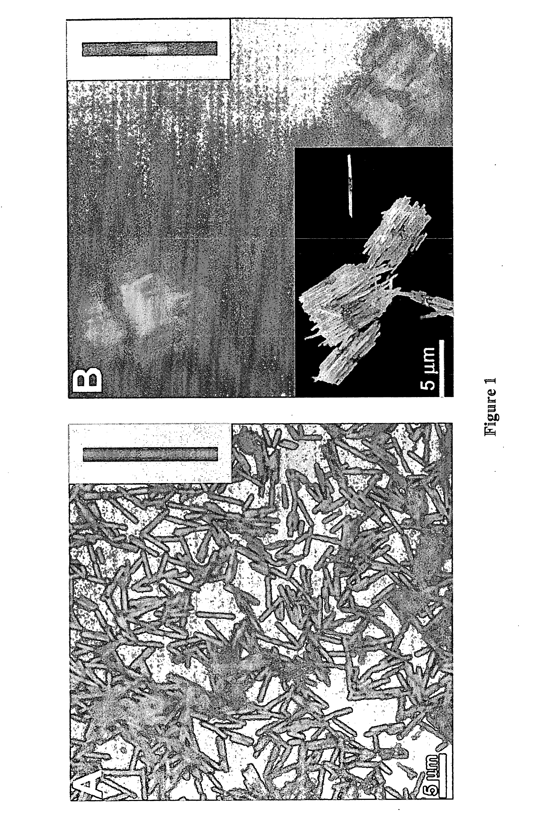 Multicomponent nanorods