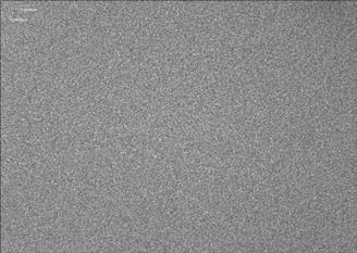 Preparation method of polyprenol microemulsion with antibacterial activity