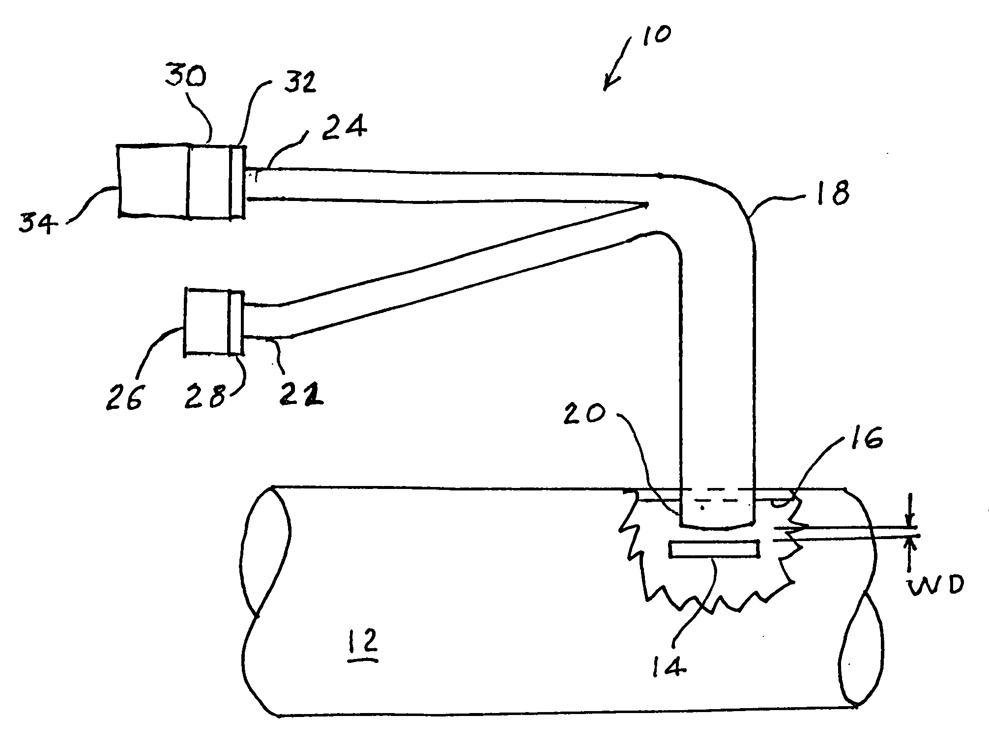 Bacteria sensor and method