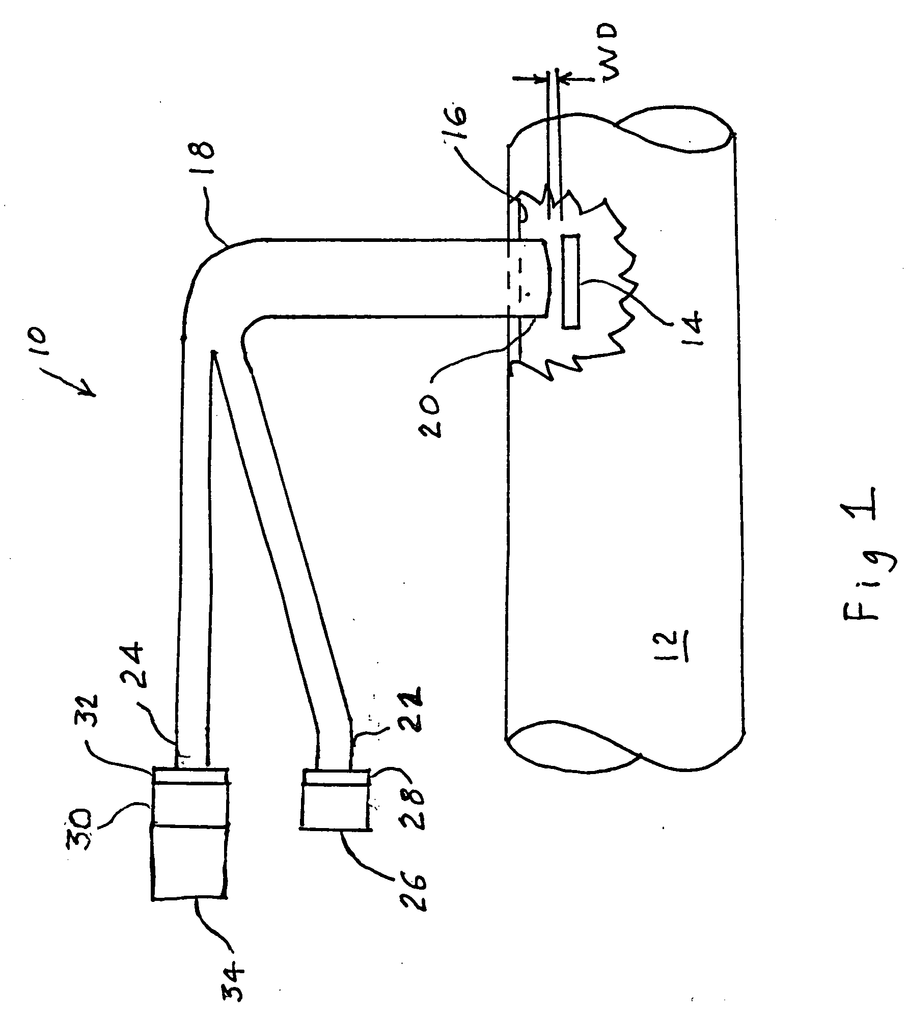 Bacteria sensor and method