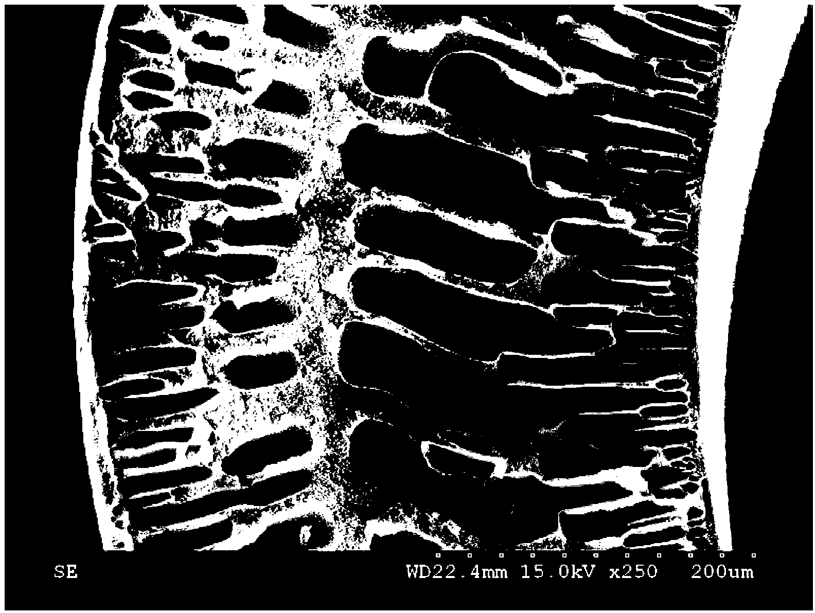 Method for preparing macromolecule hollow porous fiber membrane by using chemical reaction inductive phase conversion method