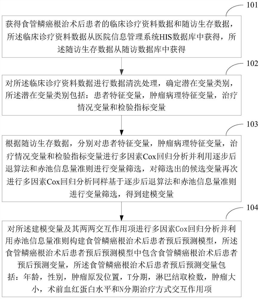 Esophageal squamous carcinoma radical postoperative patient prognosis prediction model construction method and device