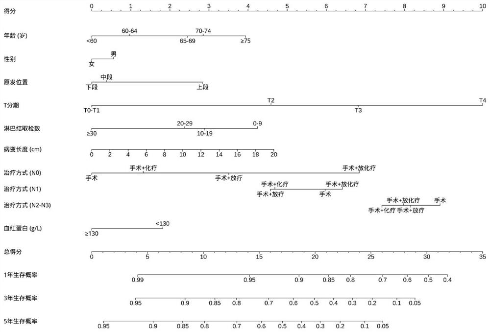 Esophageal squamous carcinoma radical postoperative patient prognosis prediction model construction method and device