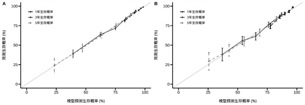 Esophageal squamous carcinoma radical postoperative patient prognosis prediction model construction method and device