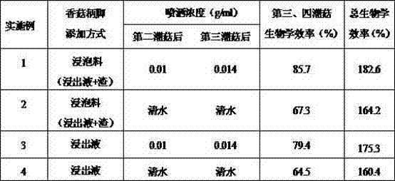 Abalone mushroom culture method