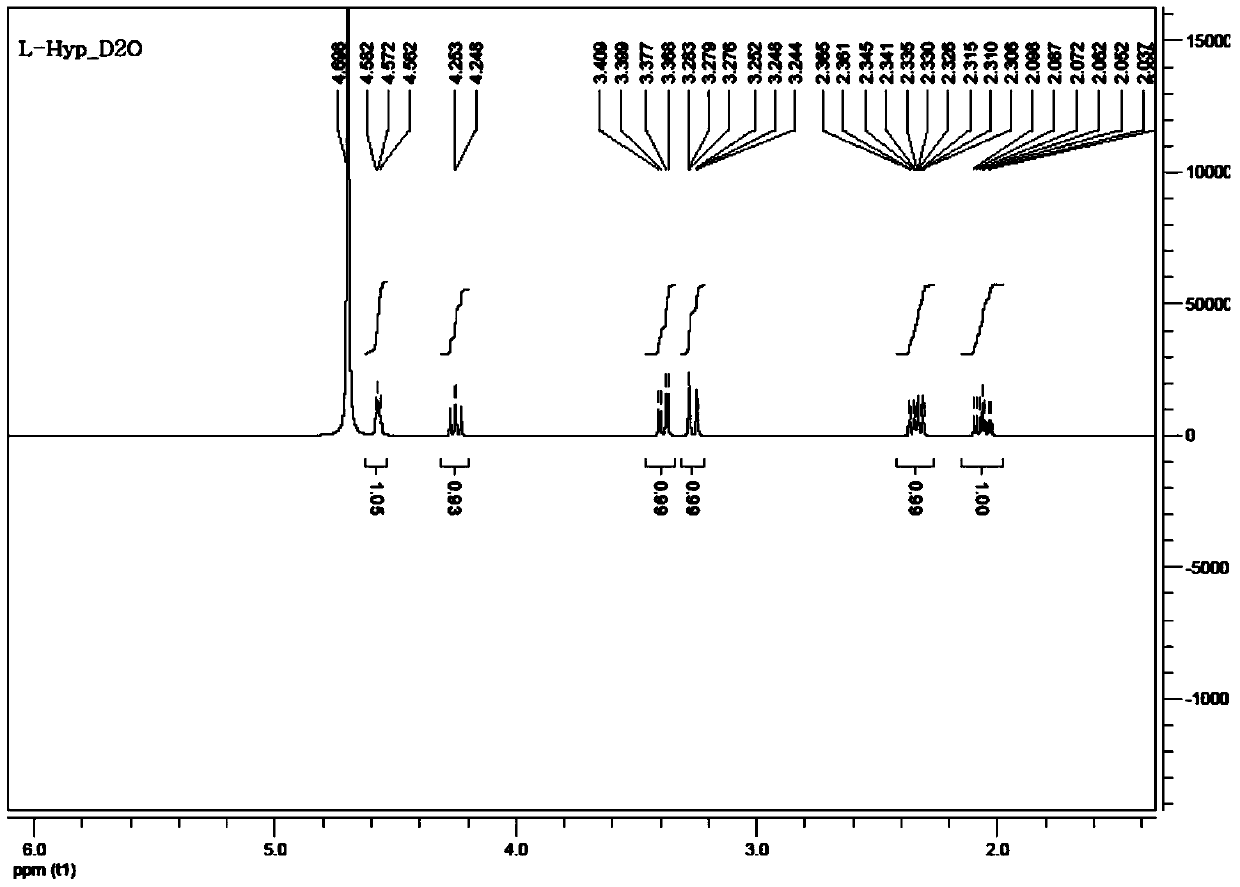 A kind of preparation method of l-hydroxyproline