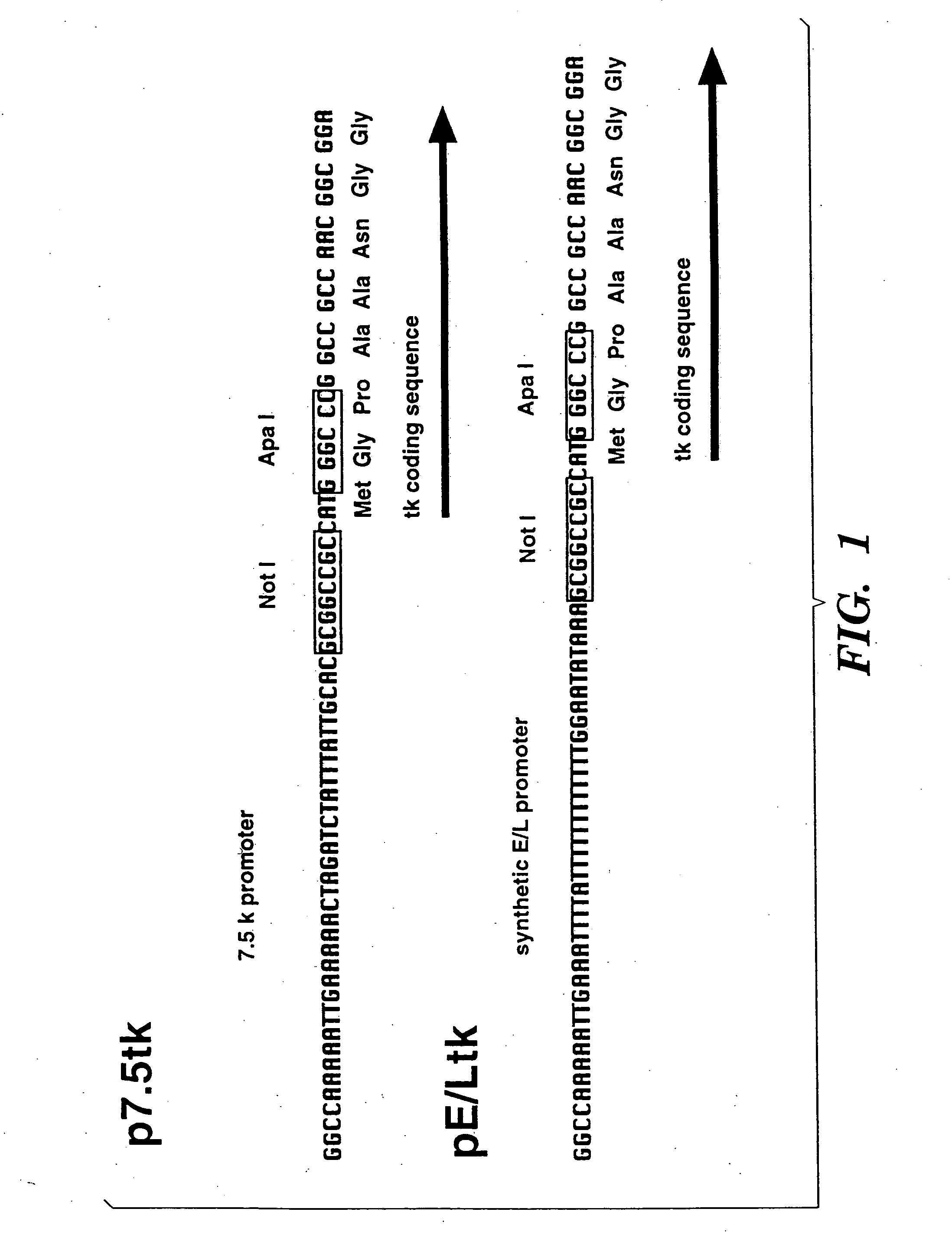 T cells specific for target antigens and methods and vaccines based thereon