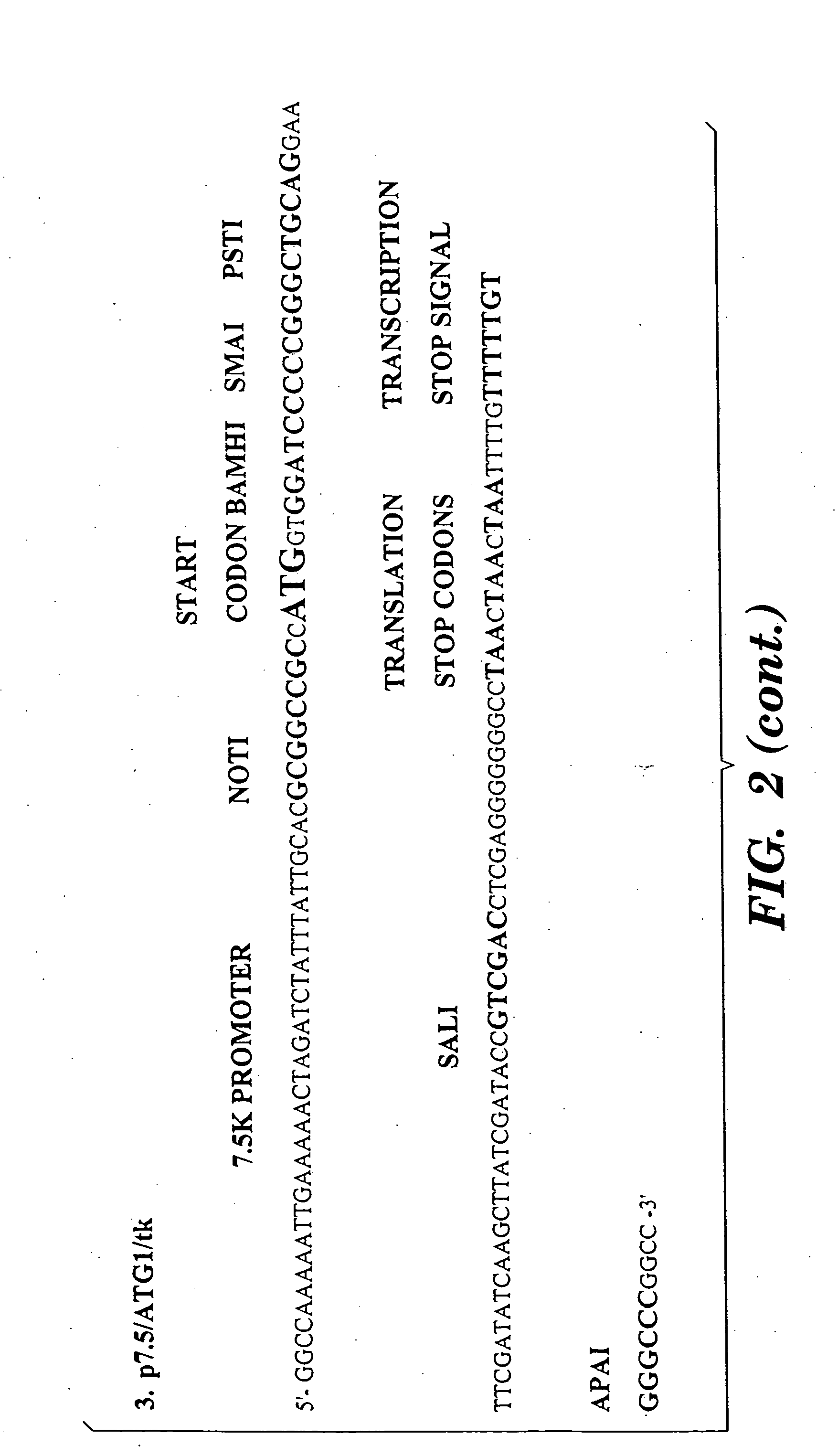 T cells specific for target antigens and methods and vaccines based thereon