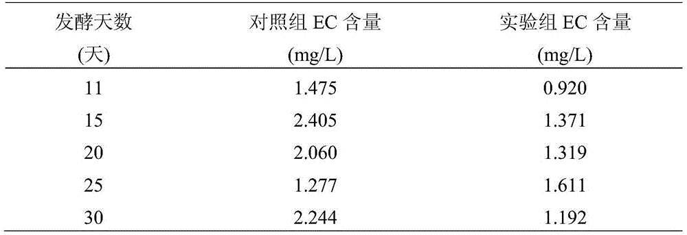 Rice wine brewing method for reducing content of ethyl carbamate through protocatechuic acid