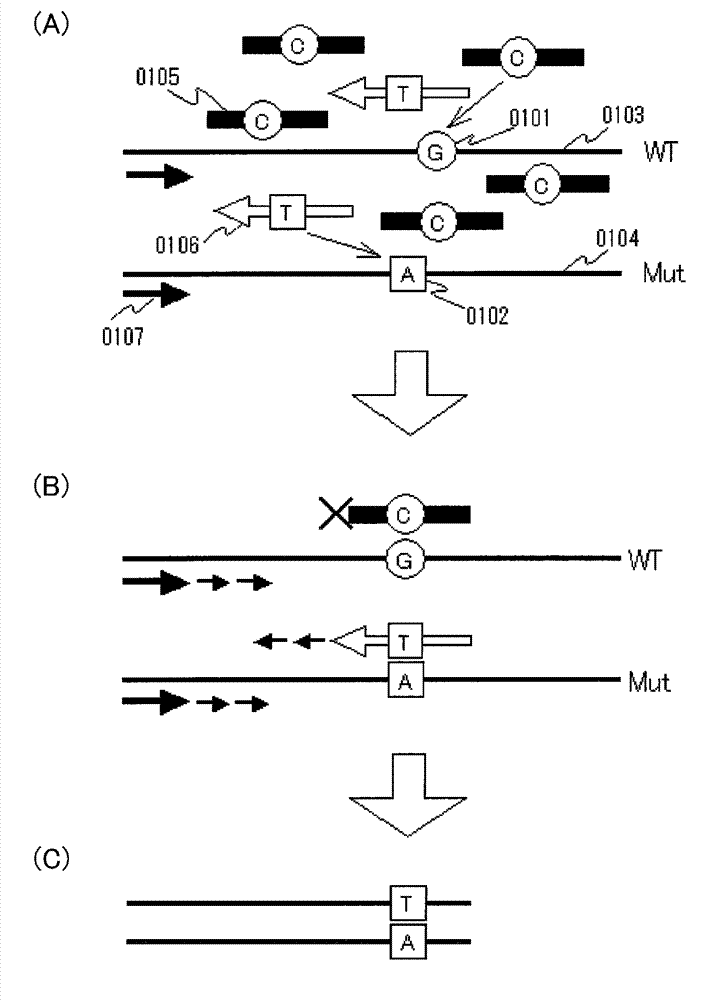 Highly sensitive mutated gene detection method