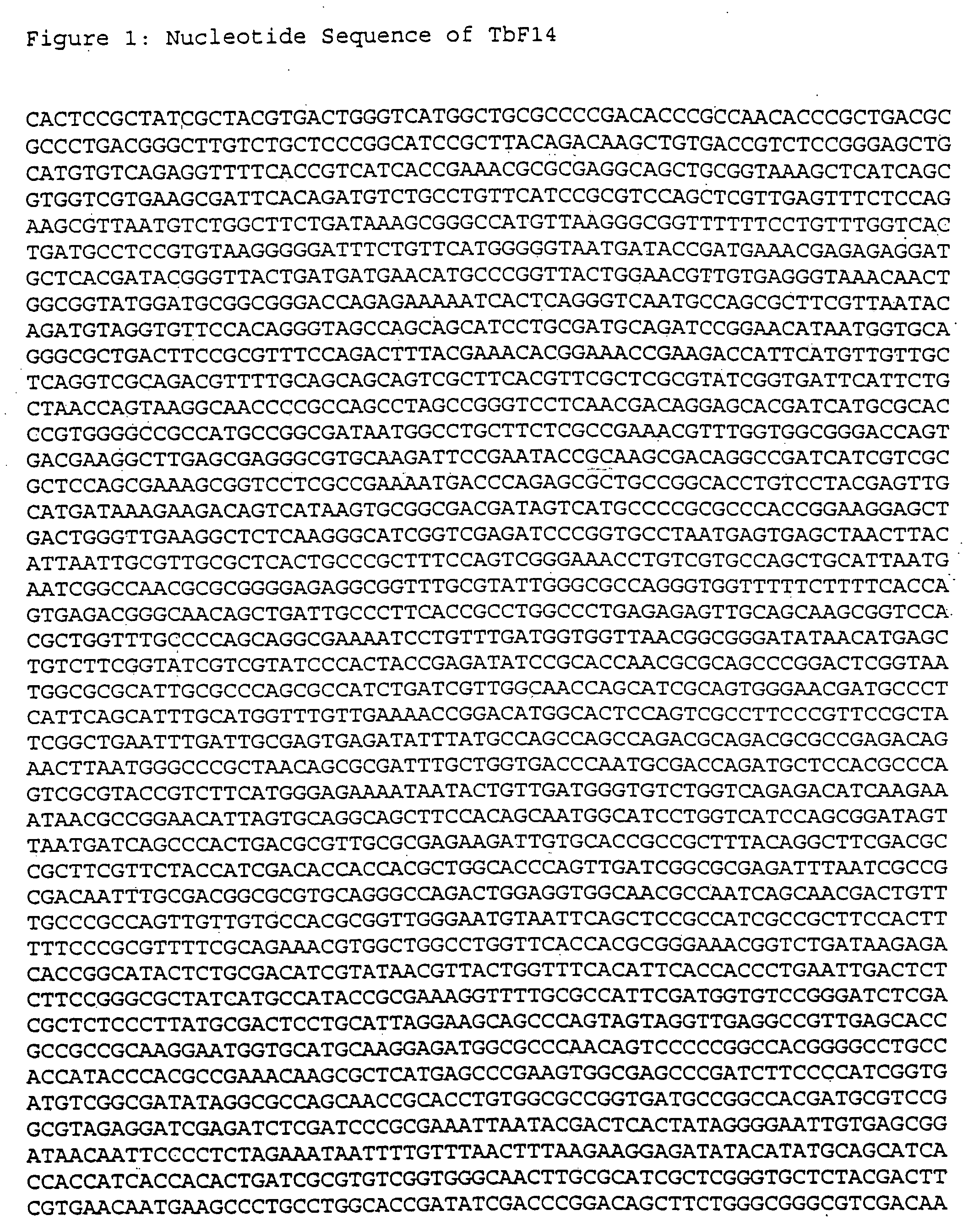 Fusion proteins of mycobacterium tuberculosis