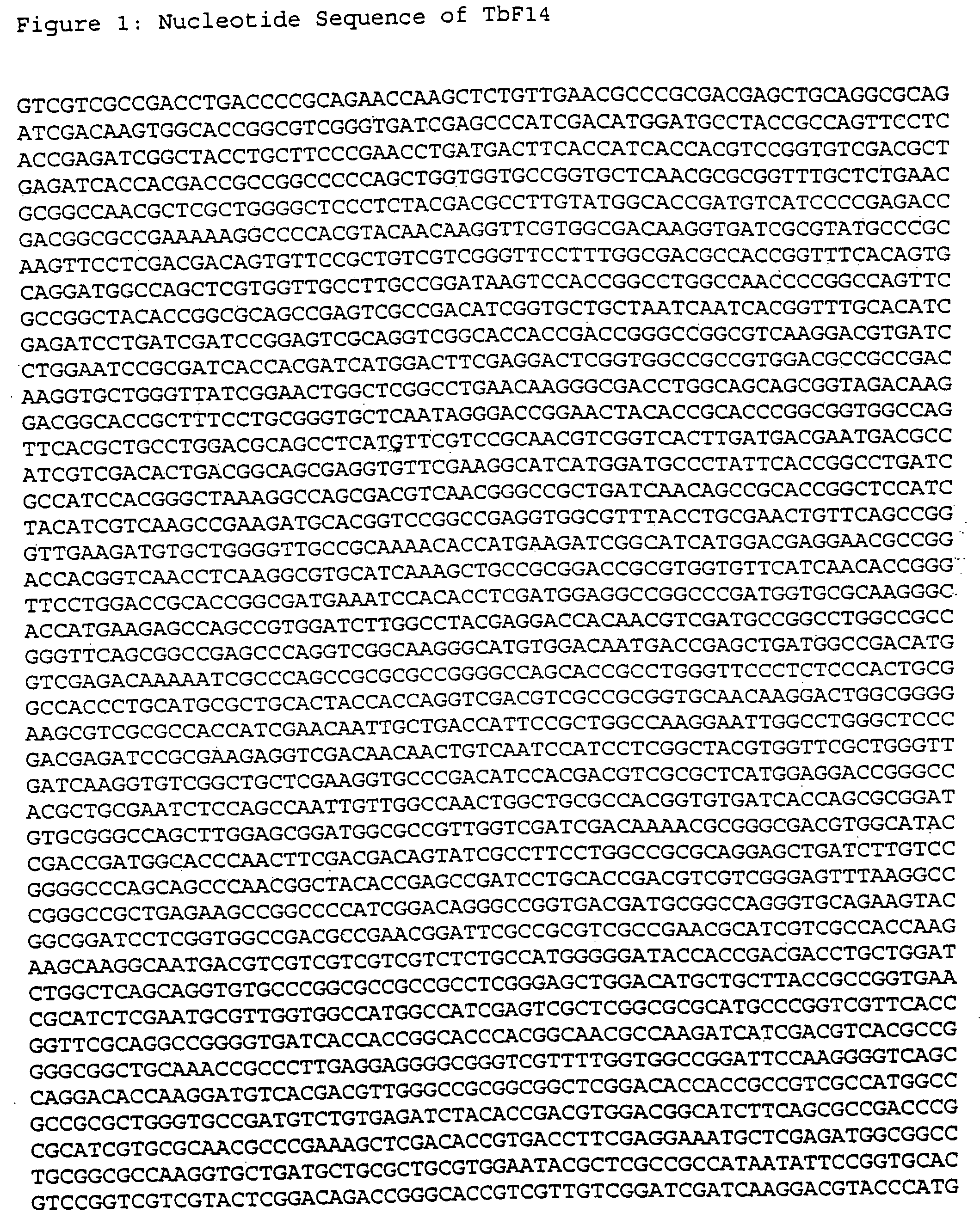 Fusion proteins of mycobacterium tuberculosis