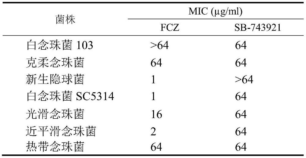 Application of SB-743921 to preparation of antifungal drugs