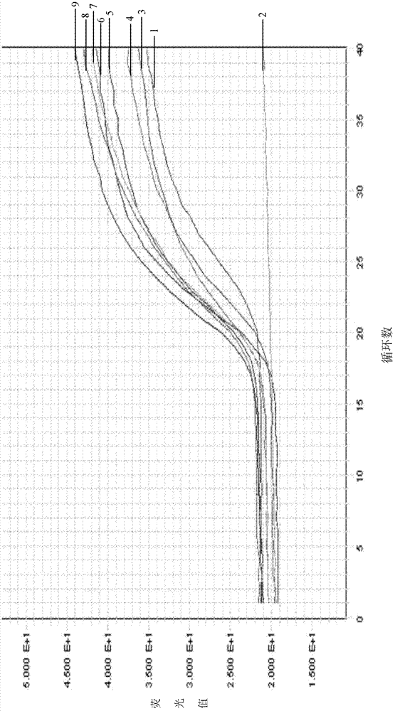 Real-time fluorescence PCR (polymerase chain reaction) kit and oligonucleotide sequence for detecting swine dysentery