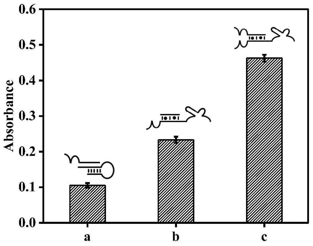 Mercury ion detection method assisted by mimic enzyme and kit