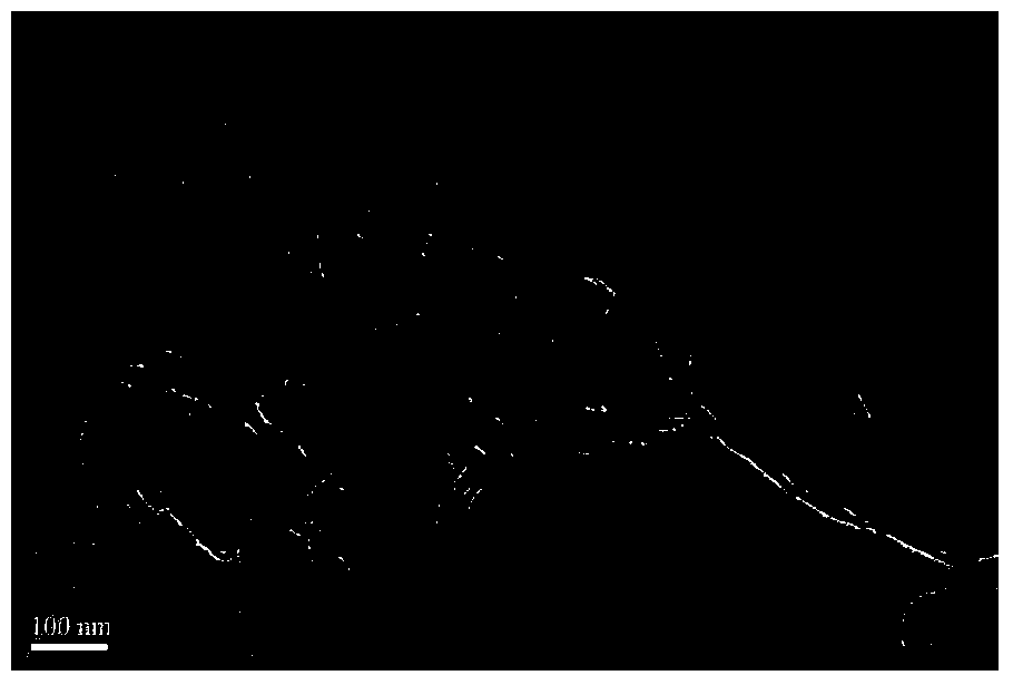 SnS2/g-C3N4 composite nanosheet photocatalyst and preparation method thereof