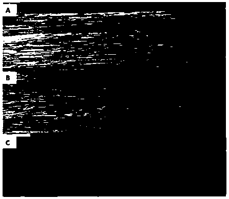 Processing technology of carbonizing of recombined bamboos or recombined woods