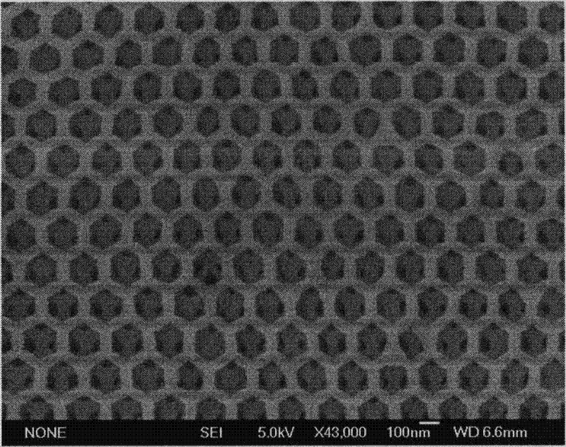 Macro pore/meso pore TiO2 film with high double ordered structure and preparation method thereof