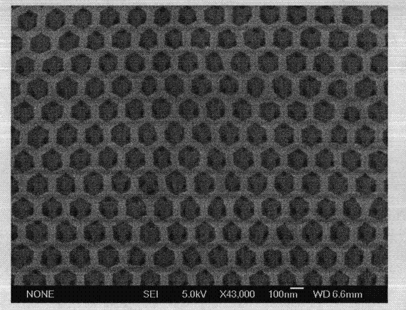 Macro pore/meso pore TiO2 film with high double ordered structure and preparation method thereof