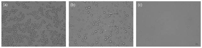 Water-insoluble temperature and pH double-sensitive microgel and preparation method thereof