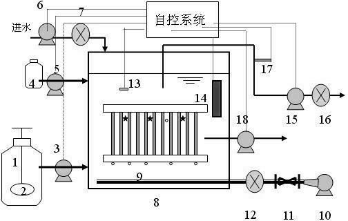 Nitrified sludge efficient enriching culture system based on membrane bioreactor and method