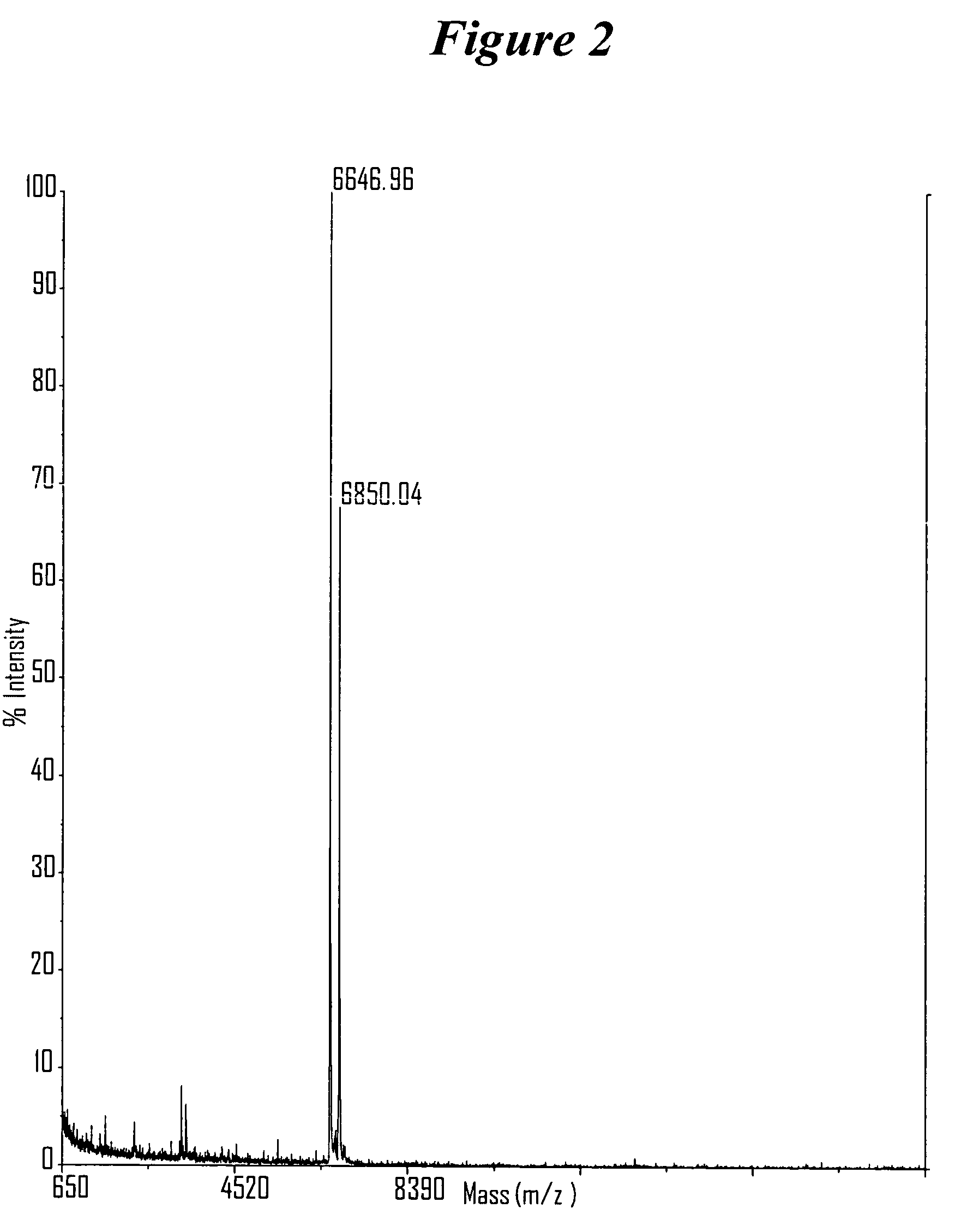 RNA interference mediated inhibition of protein tyrosine phosphatase-1B (PTP-1B) gene expression using short interfering nucleic acid (siNA)