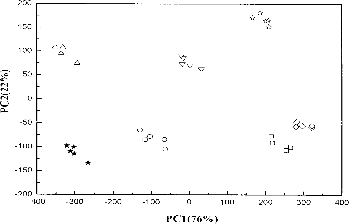 Method for identifying brewed sauce and prepared sauce based on partial least squares (PLS) method