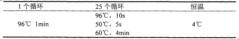 Diabetes type II gene susceptivity and pre-warning detection kit