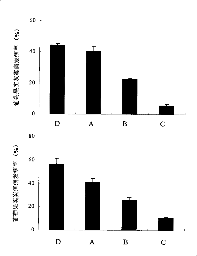 Grape postharvest diseases or fruit abscission prevention and control method and special prevention and control agent