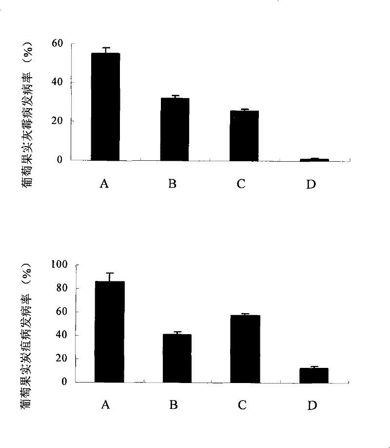 Grape postharvest diseases or fruit abscission prevention and control method and special prevention and control agent