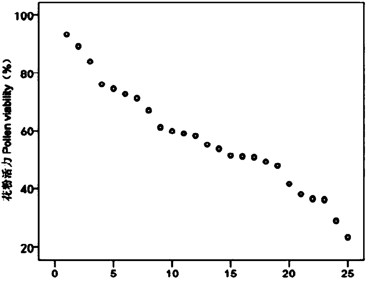 Method for increasing sexual propagation success rate of Daphne aurantiaca Diels